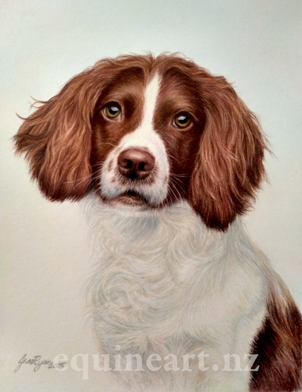 Portrait of Cadi